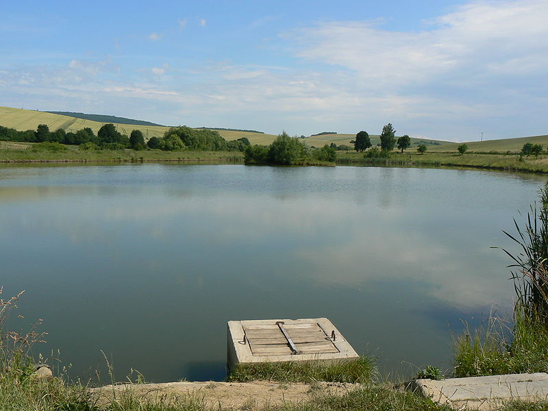 Vyklízení Brankovice